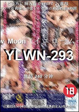 YLWN-293
