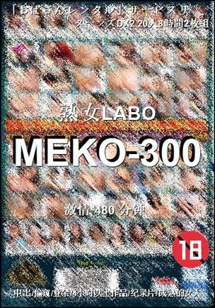 MEKO-300