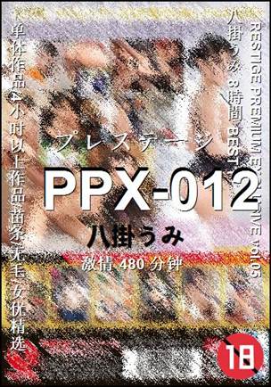 PPX-012����