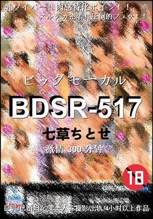 BDSR-517