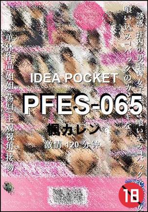 PFES-065