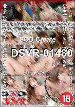 DSVR-01480