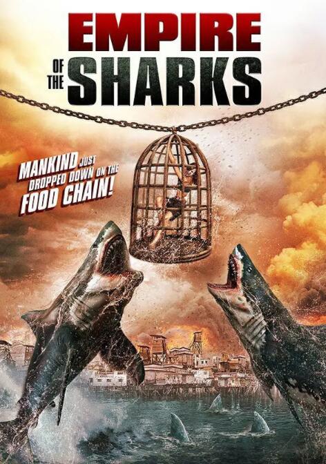 ����۹�Ѹ������