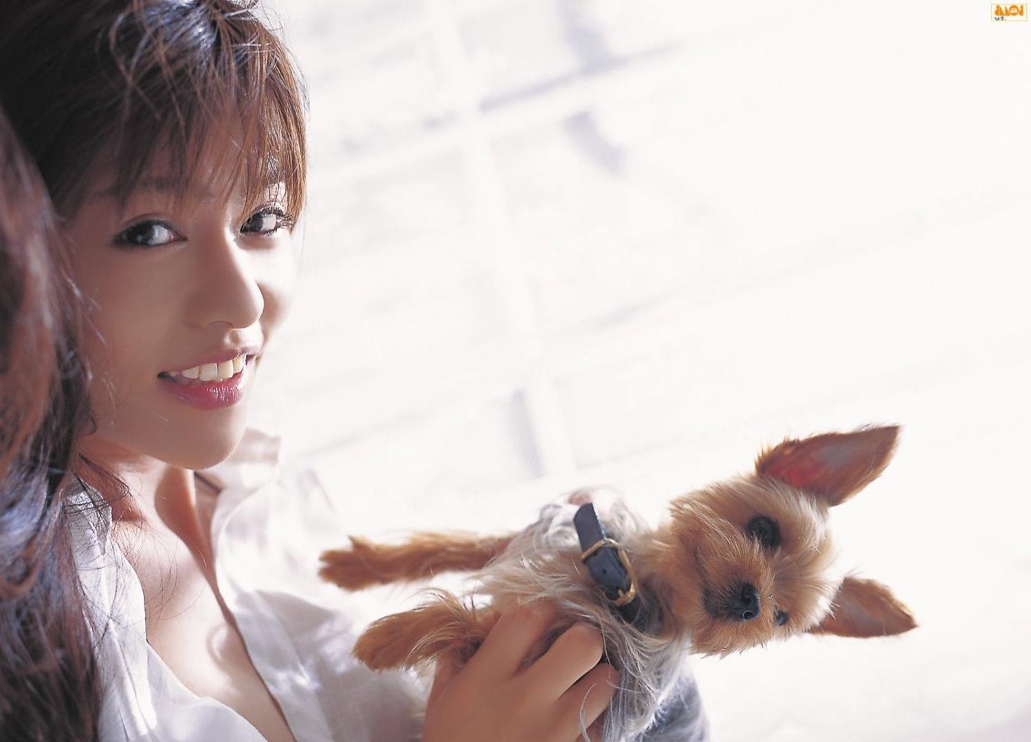 ��������ô�򲻿���